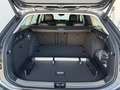 Volkswagen Passat Variant Business TDI DSG Grau - thumbnail 23