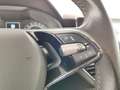 Skoda Kamiq Kamiq 1.0 TSI Ambition Grigio - thumbnail 13