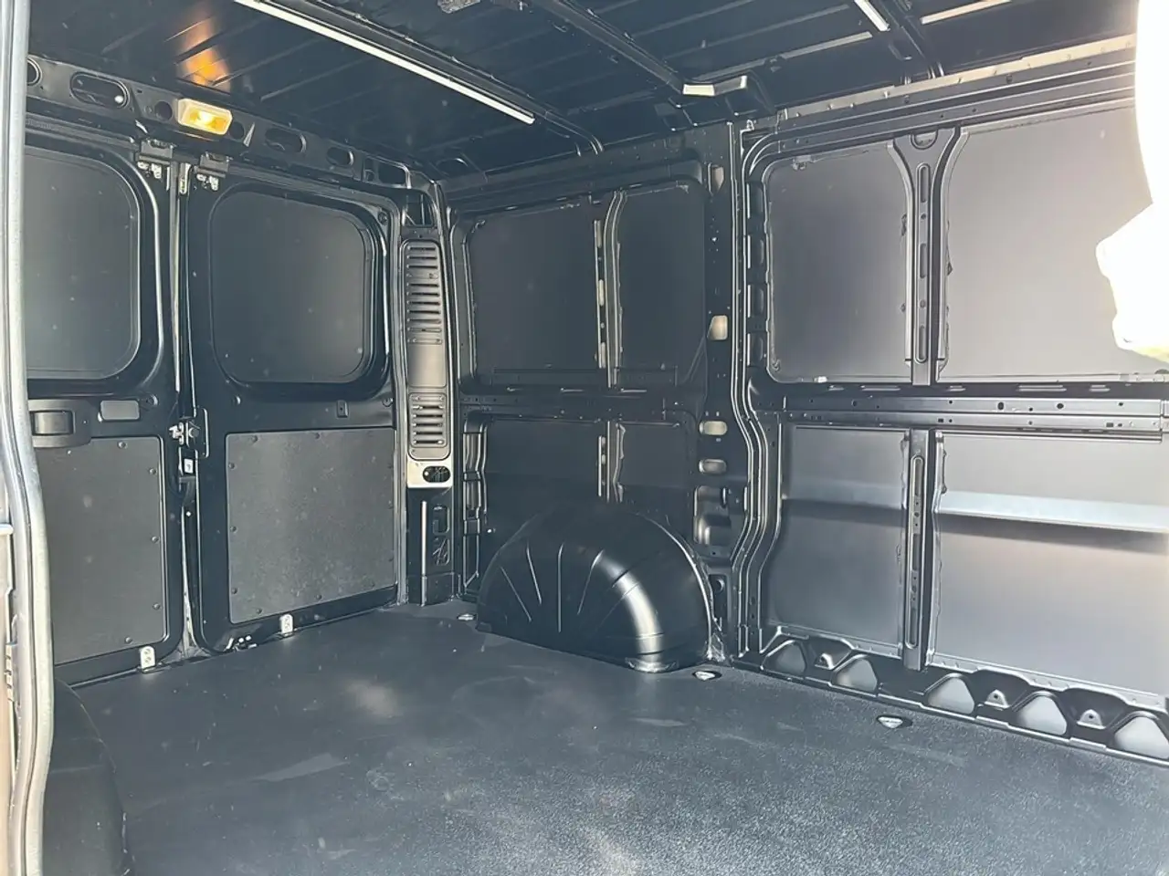 RAM Promaster снимка RAM Promaster