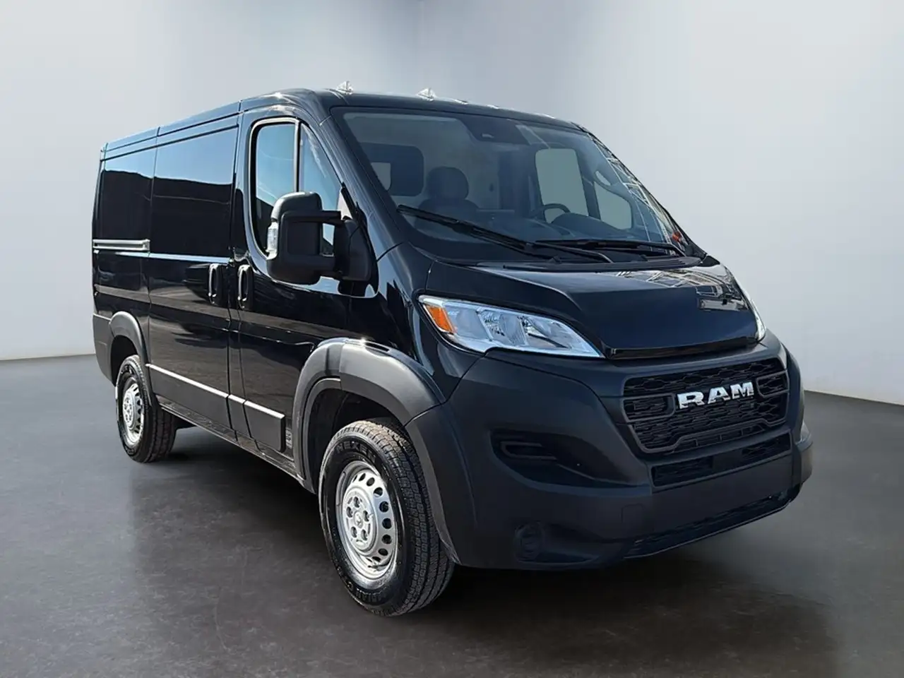 RAM Promaster снимка RAM Promaster