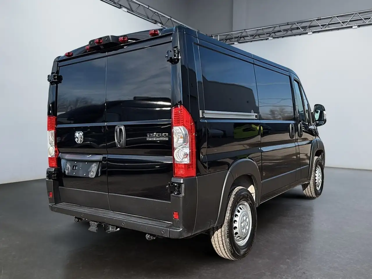 RAM Promaster снимка RAM Promaster