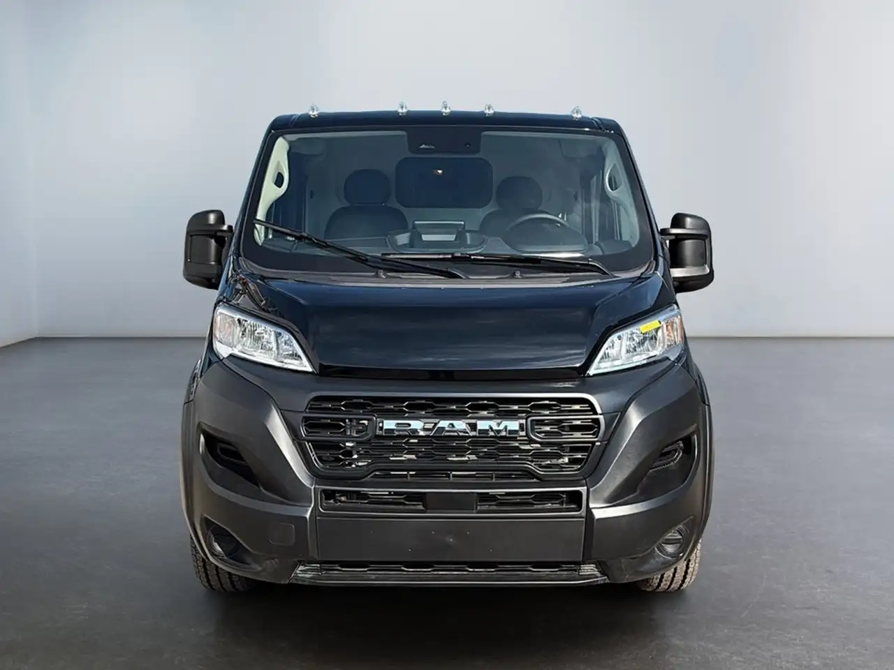 RAM Promaster снимка RAM Promaster