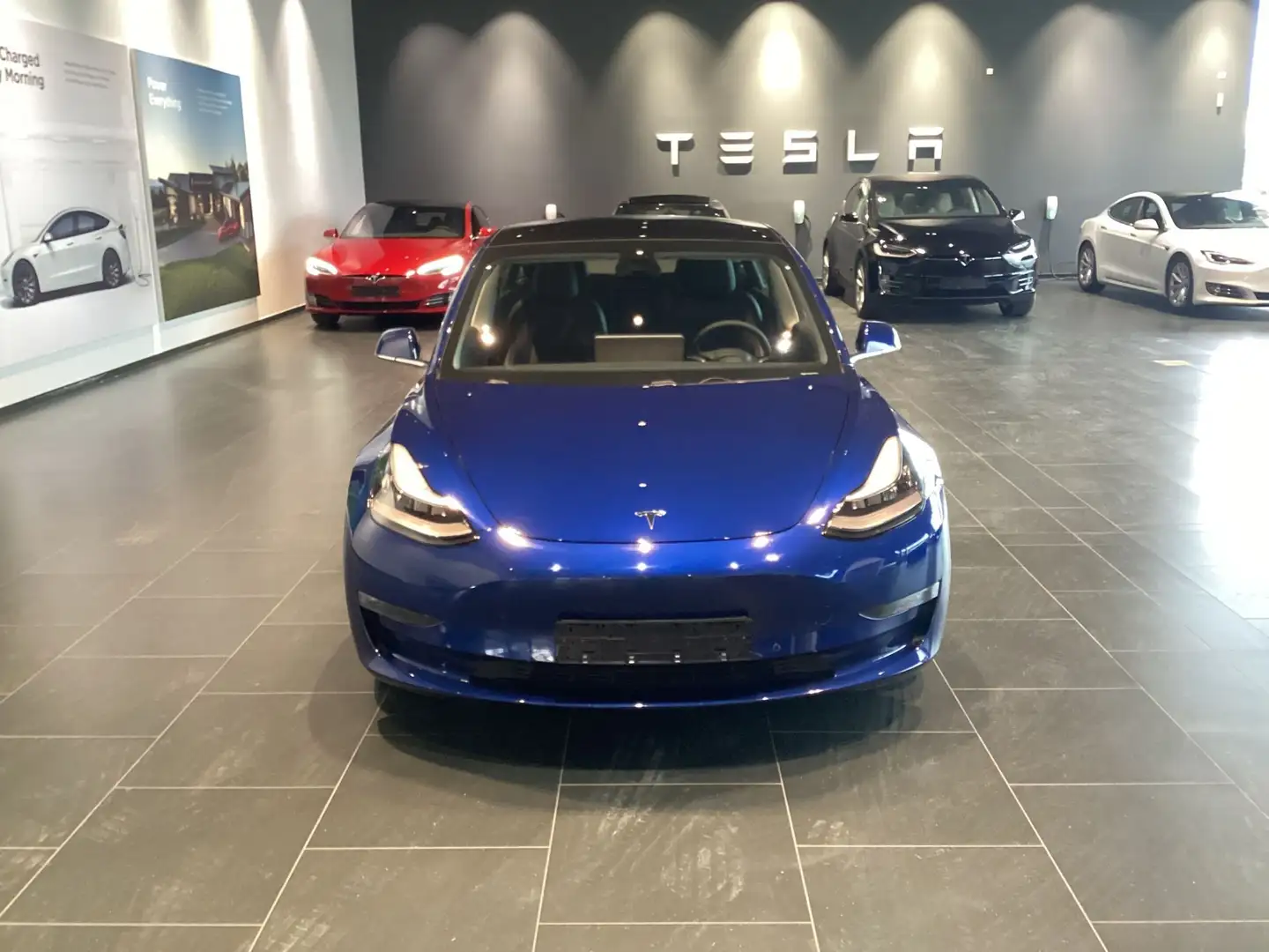 Tesla Model 3 75 kWh Long-Range Dual Motor Bleu - 2