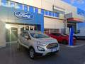 Ford EcoSport 1.5 Ecoblue 95 CV Start&Stop Plus Grau - thumbnail 1