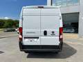 Fiat Ducato L3 H2 140 CV Bílá - thumbnail 7