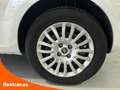 Fiat Punto 1.2 8v Easy 69 CV S&S Gasolina Blanco - thumbnail 16