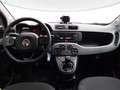 Fiat Panda 1.0 hybrid City Cross s&s 70cv Blanco - thumbnail 9