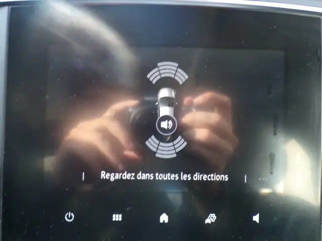 Renault Megane view 18
