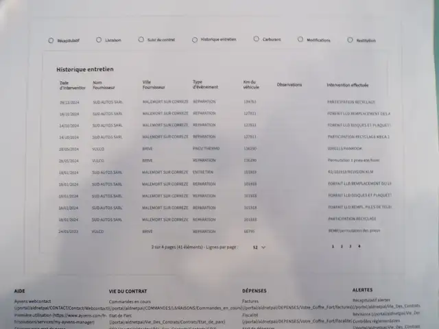 Renault Megane view 21