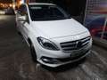 Mercedes-Benz B 200 B 200 NGD Gas Natural Comprimido Blanco - thumbnail 3