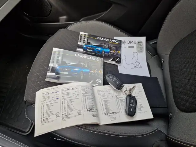 Opel Grandland X view 14