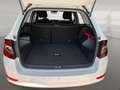 Skoda Fabia Combi 1.0 TSI Clever Best of ACC FLA Pano Weiß - thumbnail 15