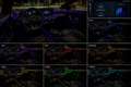 Mercedes-Benz A 200 Limousine Silber - thumbnail 13