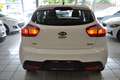 Kia Rio 1.1 CRDi Edition 7 *1.HAND* CO²-094g*KLIMA Alb - thumbnail 14