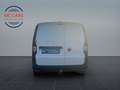 Volkswagen Caddy Cargo EcoProfi  1.Hand / nur 22.000tkm! Weiß - thumbnail 3