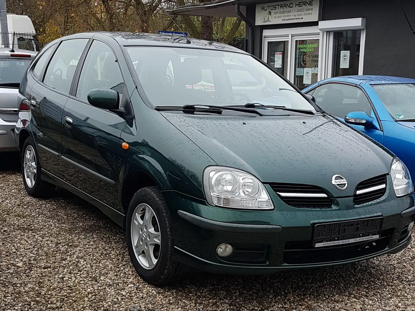 Nissan Almera Tino Almera Tino acenta Grün - 1