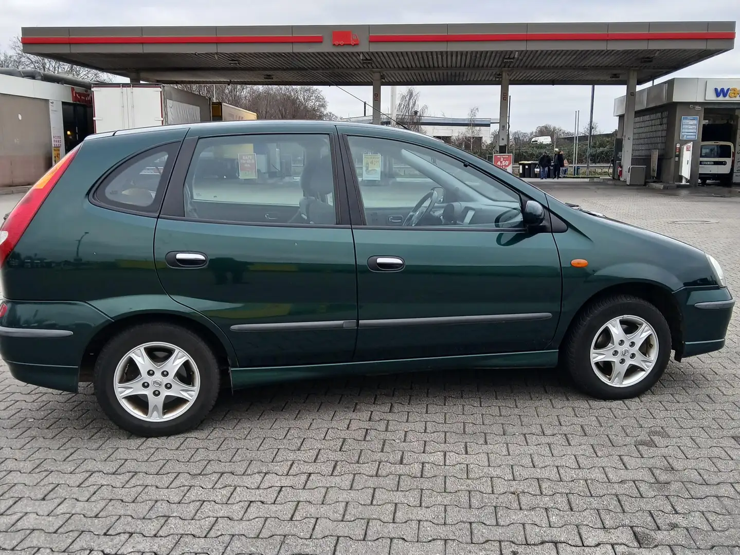 Nissan Almera Tino Almera Tino acenta Grün - 2