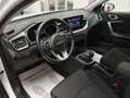 Kia XCeed XCeed 1.0 t-gdi Urban Gpl 117cv Alb - thumbnail 20