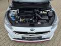 Kia ProCeed / pro_cee'd ProCeed GT*JBL*Kamera*ACC*Led*E-Klappe*Voll* Blanc - thumbnail 8