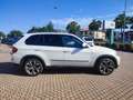 BMW X5 xDrive40d Futura Bianco - thumbnail 4