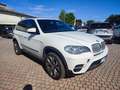 BMW X5 xDrive40d Futura Bianco - thumbnail 3