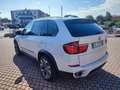 BMW X5 xDrive40d Futura Bianco - thumbnail 5