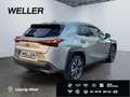 Lexus UX 250h Style Edition *Bi-LED*ACC*CAM*SHZ*CarPlay* Silber - thumbnail 19