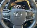 Lexus UX 250h Style Edition *Bi-LED*ACC*CAM*SHZ*CarPlay* Silber - thumbnail 14