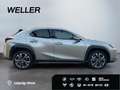 Lexus UX 250h Style Edition *Bi-LED*ACC*CAM*SHZ*CarPlay* Silber - thumbnail 10
