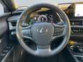 Lexus UX 250h Style Edition *Bi-LED*ACC*CAM*SHZ*CarPlay* Silber - thumbnail 13