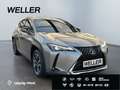 Lexus UX 250h Style Edition *Bi-LED*ACC*CAM*SHZ*CarPlay* Silber - thumbnail 4