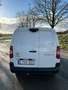 Toyota Proace City Verso 1.5D 102cv/COMFORT/LONG/CAPTEUR AV-AR Wit - thumbnail 3