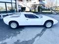 Maserati Merak 3.0 CC V6 A 3 CARBURATORI Weiß - thumbnail 7