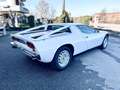 Maserati Merak 3.0 CC V6 A 3 CARBURATORI Weiß - thumbnail 2