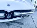 Maserati Merak 3.0 CC V6 A 3 CARBURATORI Weiß - thumbnail 12