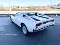 Maserati Merak 3.0 CC V6 A 3 CARBURATORI Weiß - thumbnail 4