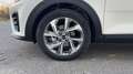 Kia Stonic 1.0 T-GDI MHEV IMT 74KW GT LINE DCT 100CV 5P Blanco - thumbnail 10