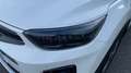 Kia Stonic 1.0 T-GDI MHEV IMT 74KW GT LINE DCT 100CV 5P Blanco - thumbnail 18