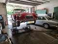 MG MGA MGA 1500 Roadster Rot - thumbnail 8