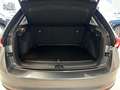Skoda Scala ''Selection'' 1.0 TSI 85 kW DSG Navi Assistenz. Gris - thumbnail 19