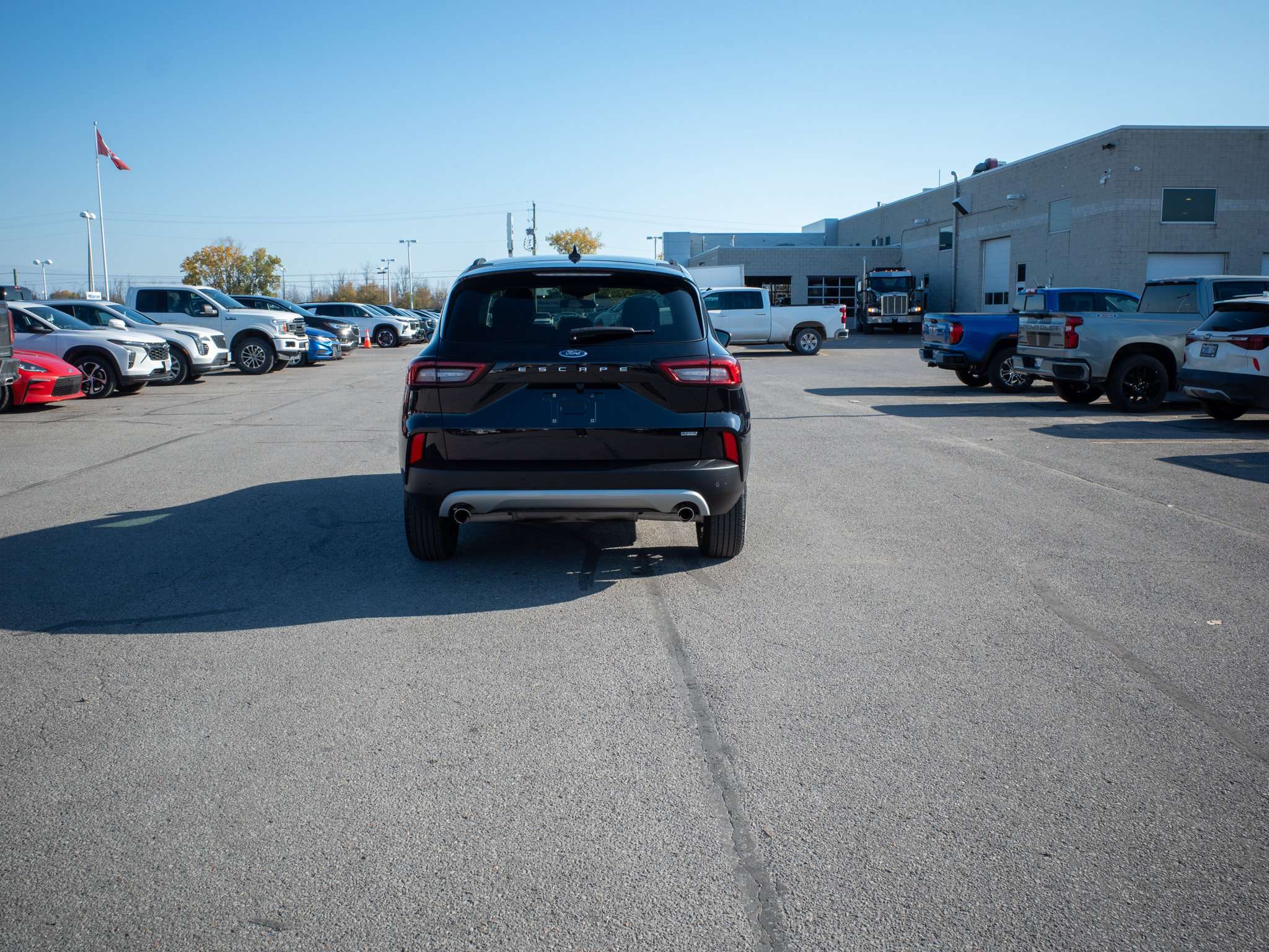 Image 6