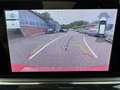 Ford Focus ST mit Styling-Paket Rouge - thumbnail 19
