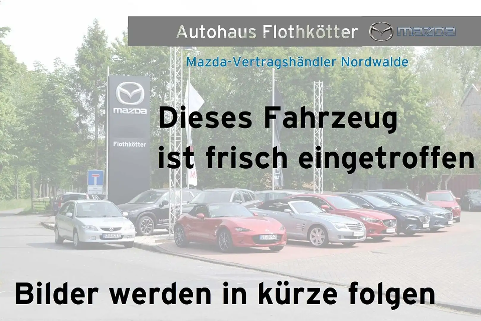 Mazda 6e 258PS TAKUMI*LEDER-S*PANO Grau - 1