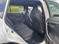 Toyota RAV 4 4 Plug-In Teamplayer*Sofort*506,- €/Monat Weiß - thumbnail 13