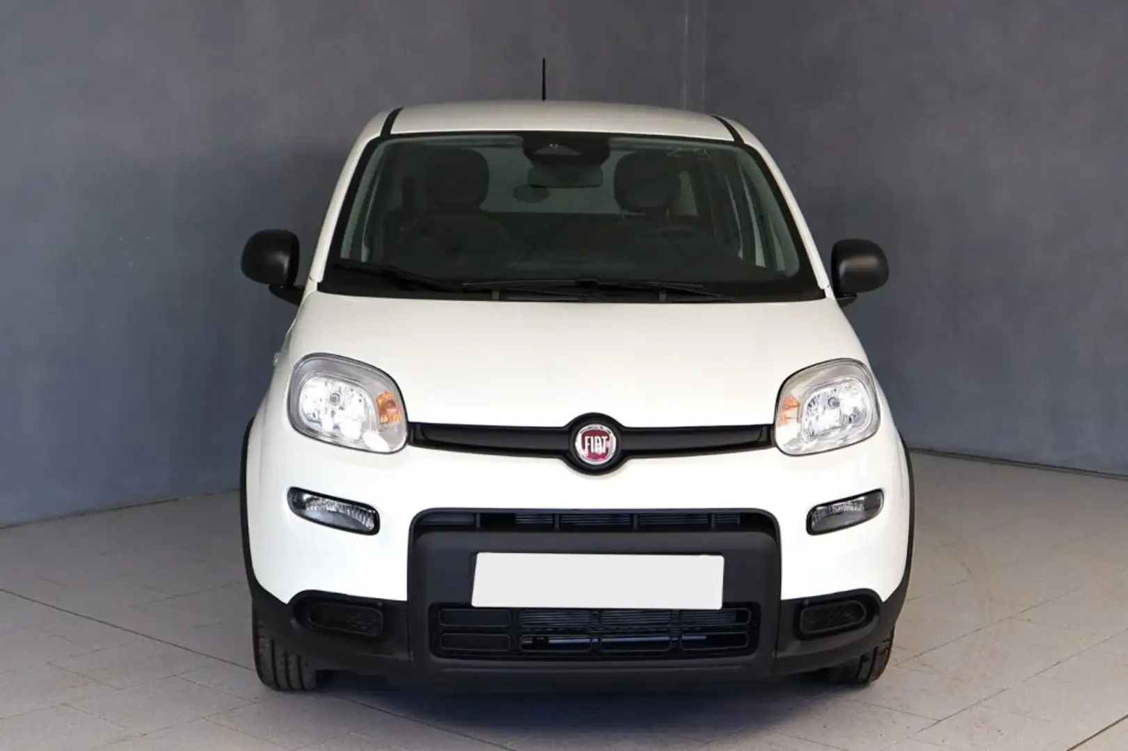 Fiat Panda 1.0 FireFly S&S Hybrid Bianco - 1