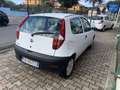 Fiat Punto 3p 1.3 mjt 16v Dynamic - thumbnail 4