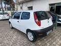 Fiat Punto 3p 1.3 mjt 16v Dynamic - thumbnail 3