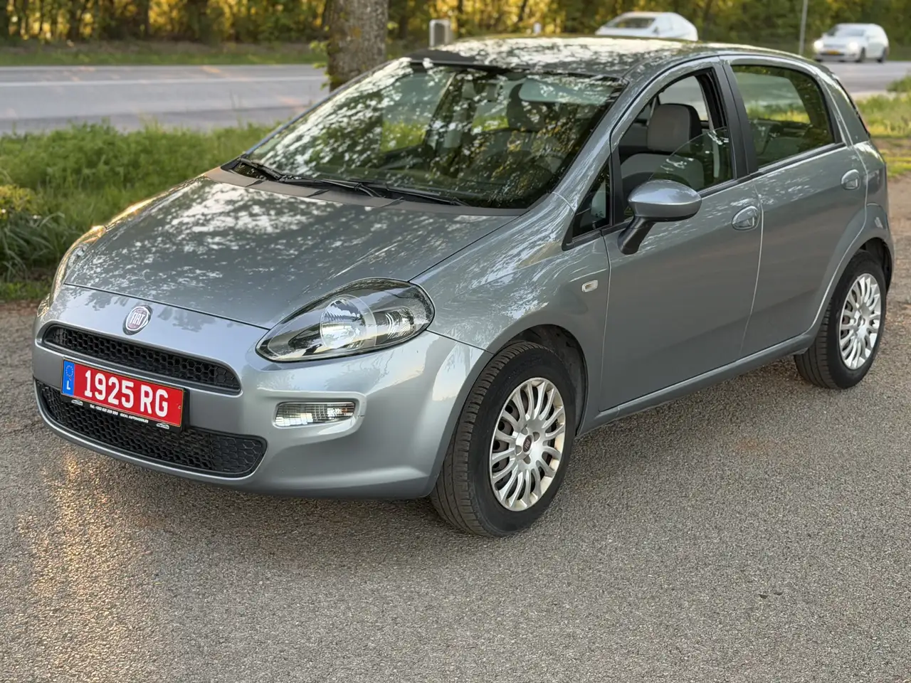 Fiat Punto Business 1.3 Multijet 16V 95 S\u0026S Ea