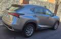 Lexus NX 300h NX 300h Business 2WD Business Plateado - thumbnail 3