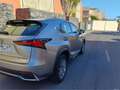 Lexus NX 300h NX 300h Business 2WD Business Plateado - thumbnail 18